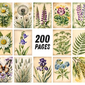 May include: A collection of watercolor botanical illustrations featuring various flowers, plants, and a butterfly. The artwork includes daisies, dandelions, irises, and ferns, with the text "200 PAGES" in the center. The illustrations are on a cream-colored background.