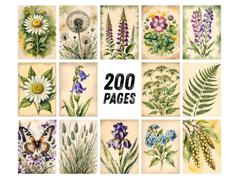 May include: A collection of watercolor botanical illustrations featuring various flowers, plants, and a butterfly. The artwork includes daisies, dandelions, irises, and ferns, with the text "200 PAGES" in the center. The illustrations are on a cream-colored background.
