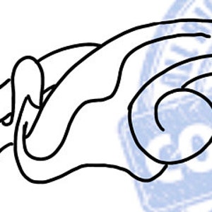 Leather Tooling pattern