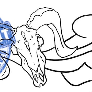 Sheep Leat her Tooling Pattern