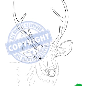 Deer Leather Tooling Pattern