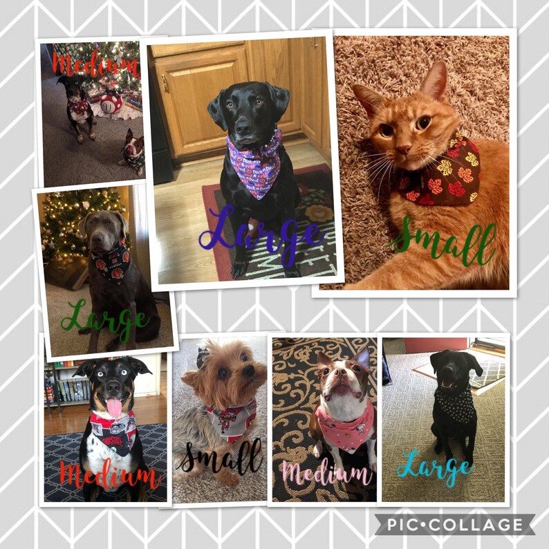Miami Dolphins Pet Bandana
