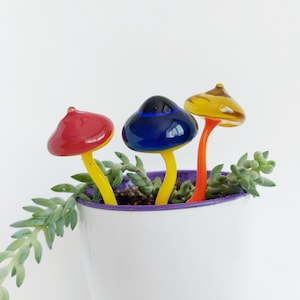 May include: Three glass mushroom figurines in a white pot with green succulent plants. The mushrooms are red, blue, and yellow.
