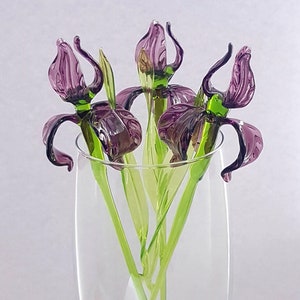 Op de afbeelding: Een boeket van vijf paarse glazen irissen met groene stelen in een heldere glazen vaas.