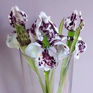 Glass White Purple Iris, Blown Iris Flower Glass Figurine, Glass Flower