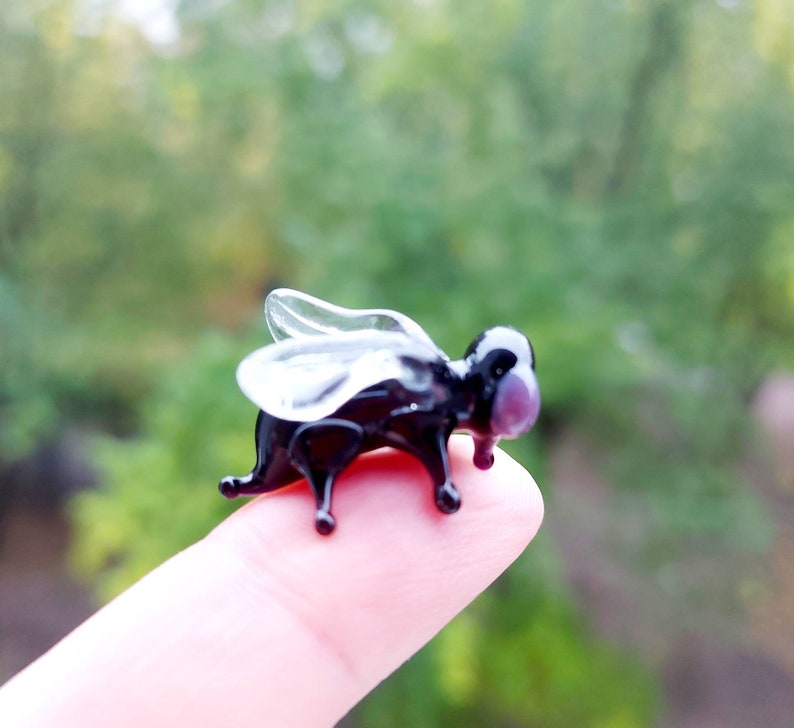 May include: A small glass fly figurine with clear wings and a black body. The fly is perched on a finger.