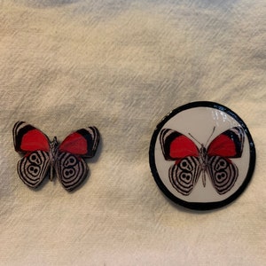 Broche Borboleta Vermelha e Preta