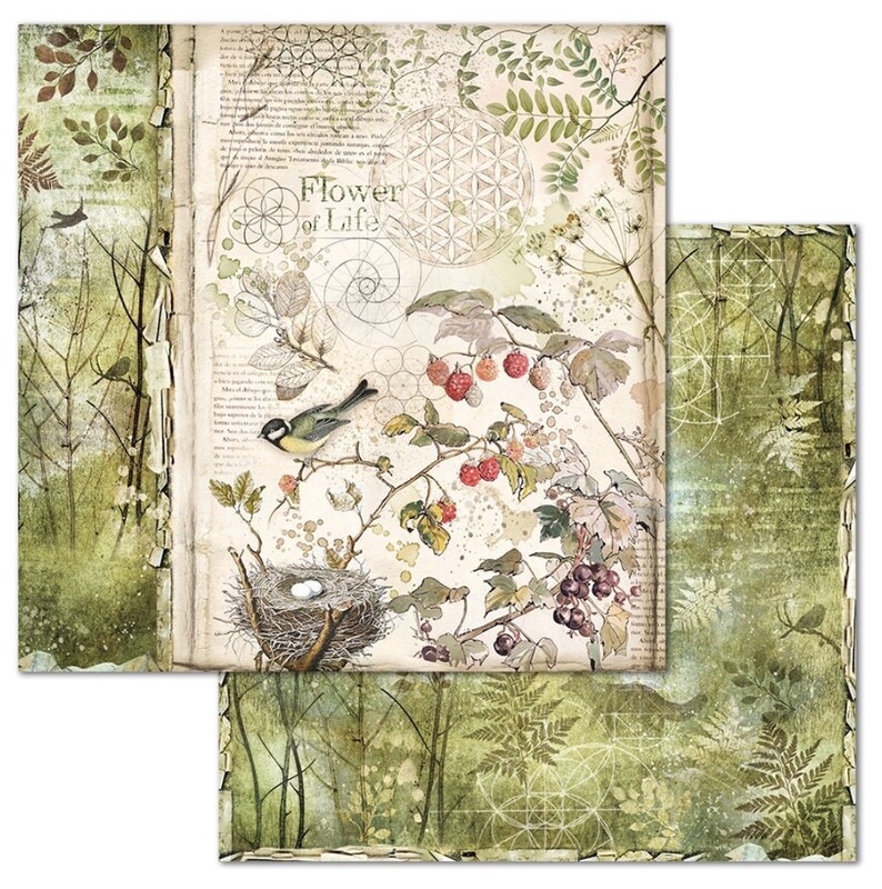Stamperia Forest Scrapbook Paper Pad 12x12 Cardstock Etsy