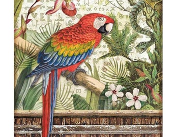 Stamperia Amazonia Parrot Rice Paper - Stamperia - Decoupage Paper - Amazonia - Parrot - Rice Paper - Decoupage - A4