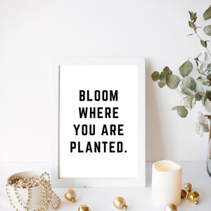 Bloom Where You Are Planted Printable Instant Digital - Etsy