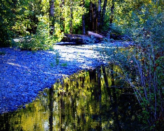 Stampa fotografica autunnale di Oregon Creek, decorazioni autunnali per la casa (stampa digitale)