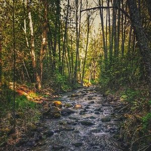 Creek Waterfall Digital Print, Nature Wall Art, Home Decor Prints, Hiking Photographs, Art for Office, Sunset Printables, Nature Lover Gifts