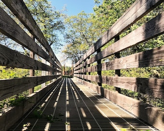 Könnte beinhalten: Eine Holzbrücke mit einem Metallgitter-Steg. Die Brücke ist von Bäumen umgeben und die Sonne scheint durch die Blätter.