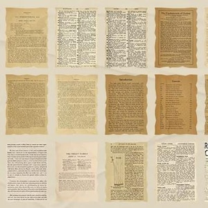 Conservas de gelatina de gran tamaño, planta medieval, página de libro antiguo, papel vintage para diario basura, lácteos, bricolaje, álbum de recortes, decoración, suministro de papel