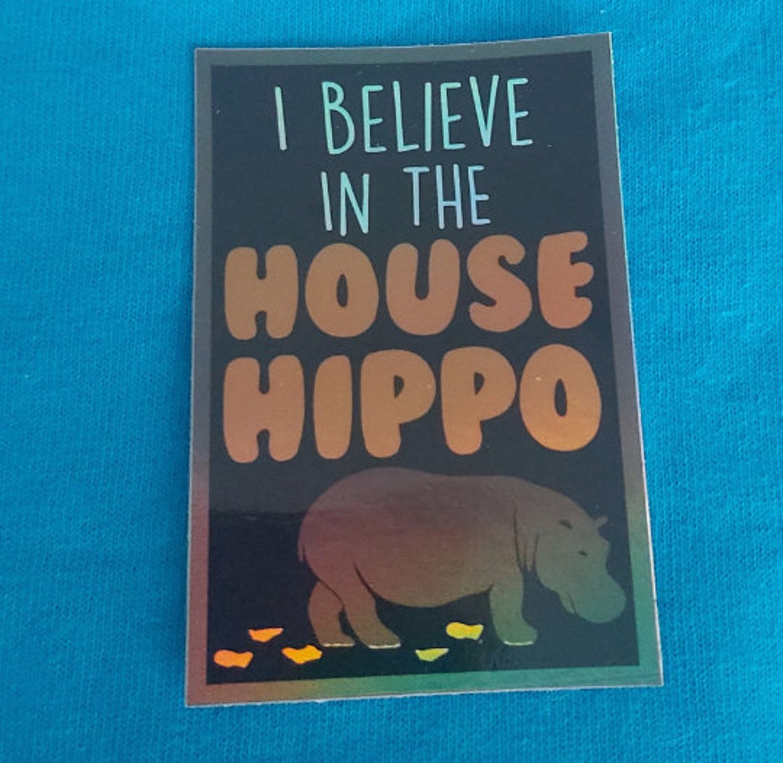 Limited Run House Hippo Pack Etsy