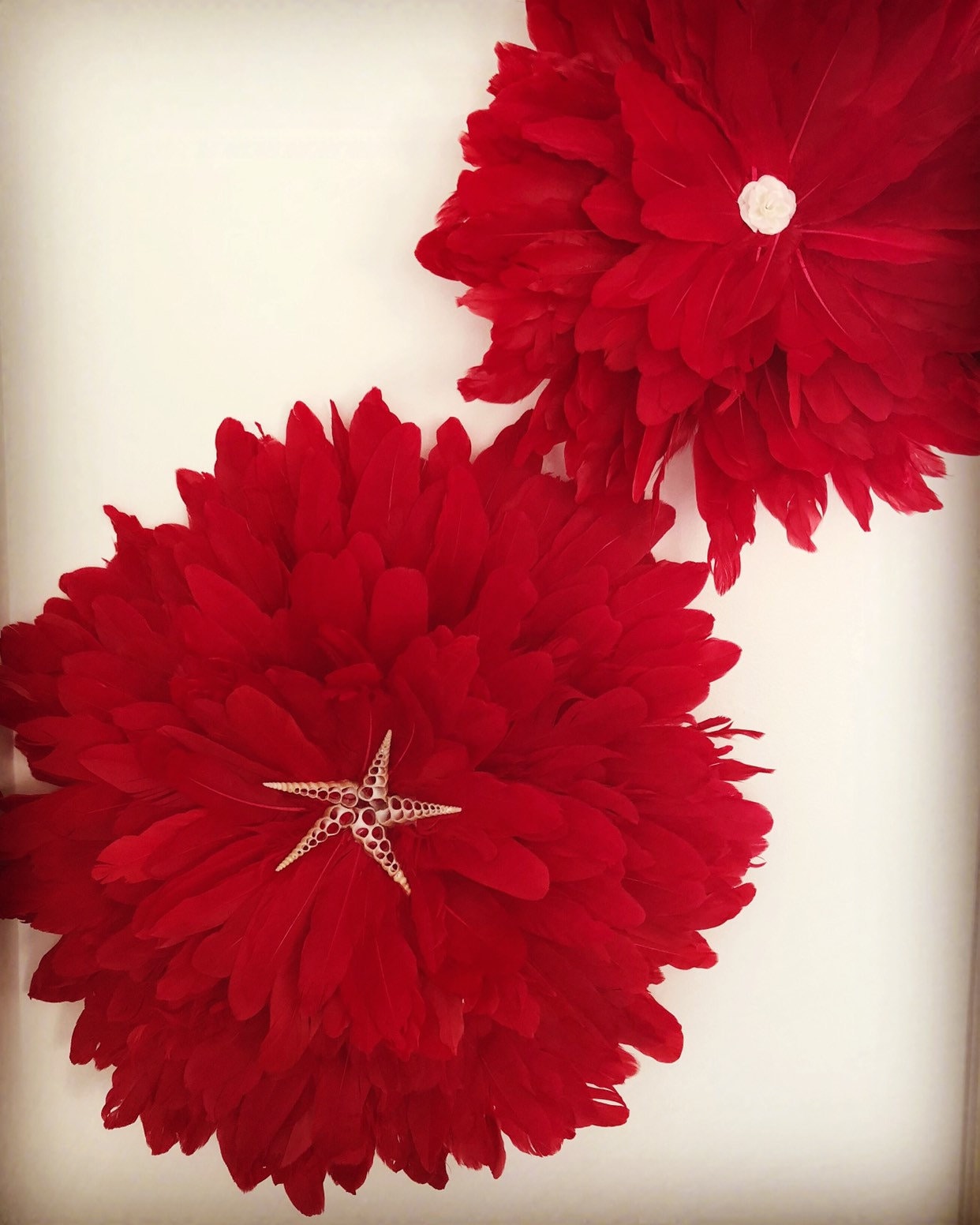 2 Jujuhat Plumes Rouge