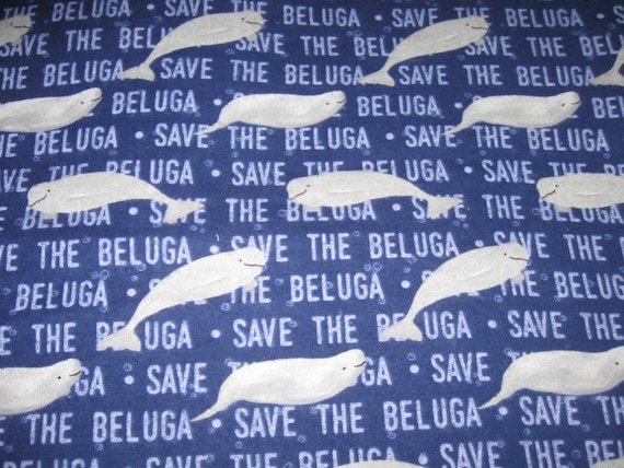 100+] Beluga Pictures