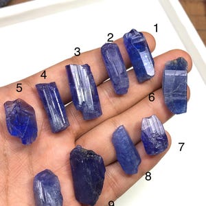 以下が含まれることがあります： 鮮やかな青紫色の色合いを持つ、10個のタンザナイト原石のコレクション。それぞれの結晶は形や大きさが異なり、自然な質感とファセットが見えます。宝石は明るい色の表面に配置され、その色と透明度を際立たせています。