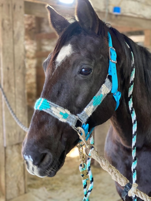 Licol nylon noir doublé cuir pour cheval de trait Licol nylon noir doublé cuir pour cheval de trait