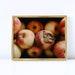 marimae4 reviewed Apple Photograph, Fruit Art, Autumn Kitchen Decor, Apple Picking Photography, Fall Print - Apple Barrel