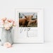 sharlamag reviewed 2020 Calendar - Desk Calendar - Highland Cows, Cow Photography, Stocking Stuffer, Travel Photography - 2020 Highland Cows
