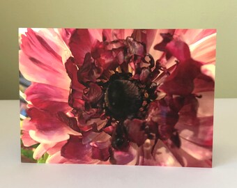 Flower Closeup Greeting Card / Photo Art, Vibrant, Nature, Pink