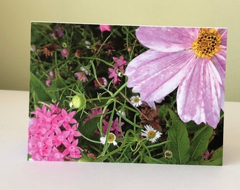 Flower Closeup Greeting Card / Pink, Vibrant, Art Card, Nature