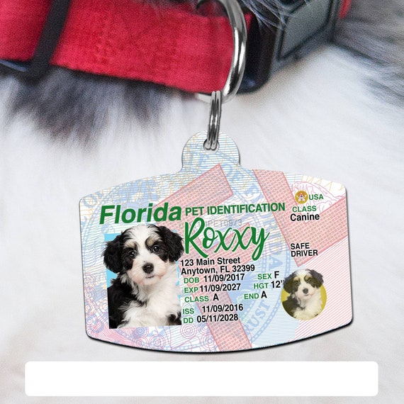 pet state id tags