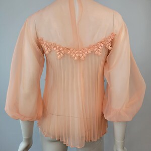 May include: A peach-colored sheer blouse with long, voluminous sleeves and a pleated bodice. The back features a delicate floral lace detail across the shoulders. The blouse is displayed on a mannequin.