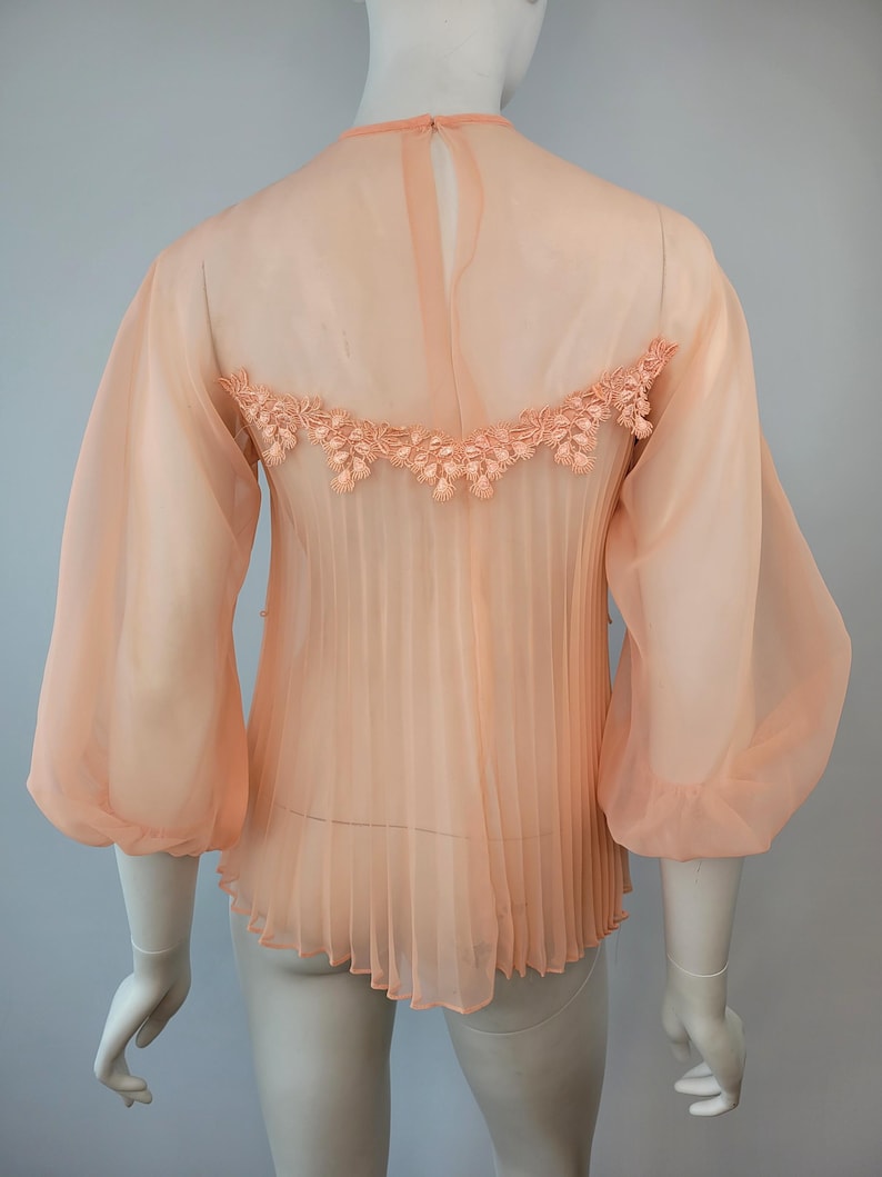 May include: A peach-colored sheer blouse with long, voluminous sleeves and a pleated bodice. The back features a delicate floral lace detail across the shoulders. The blouse is displayed on a mannequin.