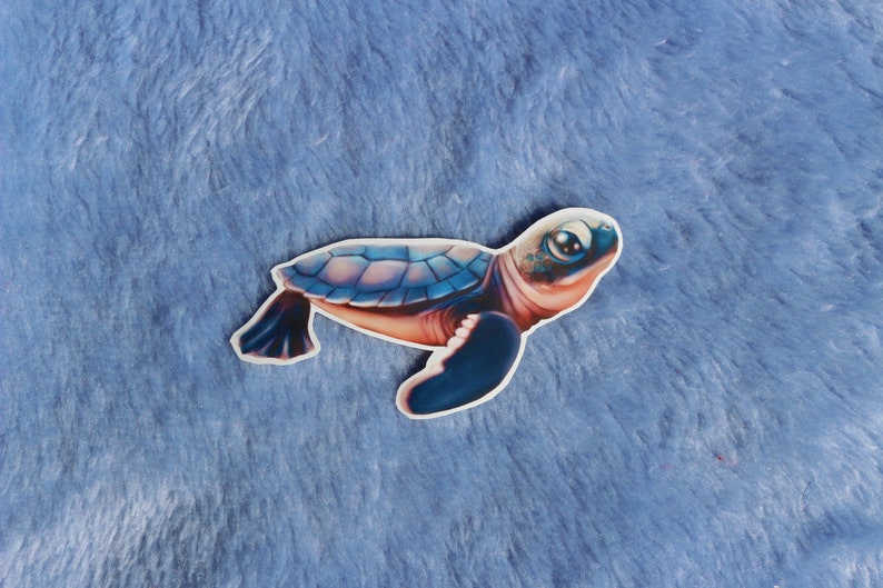 Cute turtle sticker Sea Turtle Sticker Ocean Animal Sticker water bottle sticker laptop sticker die cut sticker Aesthetic Sticker
