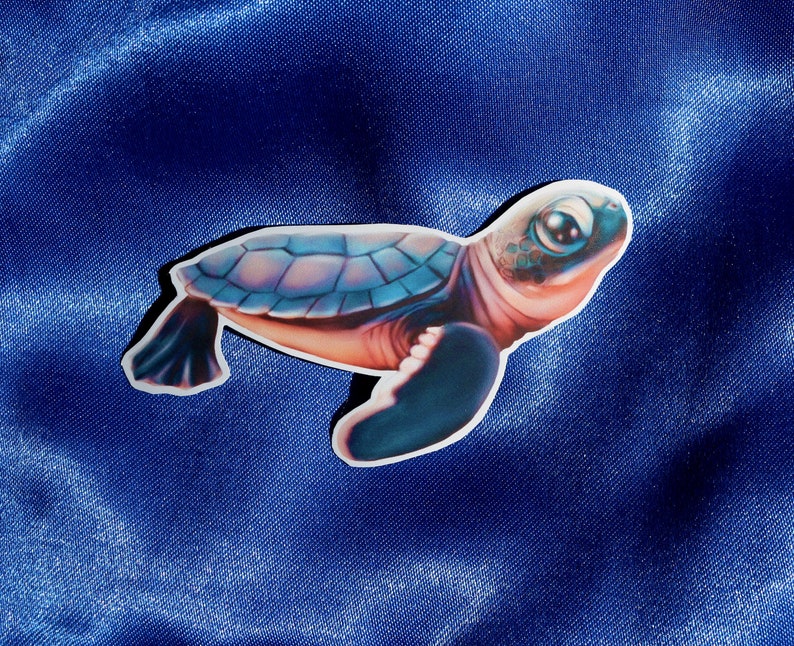 Cute turtle sticker Sea Turtle Sticker Ocean Animal Sticker water bottle sticker laptop sticker die cut sticker Aesthetic Sticker