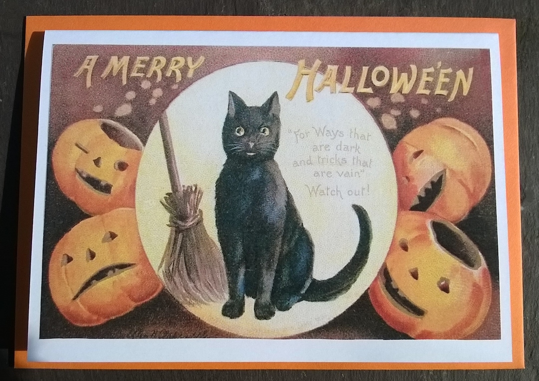 Cat and Pumpkins Halloween Card - Etsy