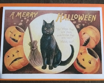 Cat and pumpkins Halloween card