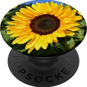 May include: A bright yellow sunflower with a dark brown center, surrounded by green leaves. The sunflower is in focus, while the background is blurred.