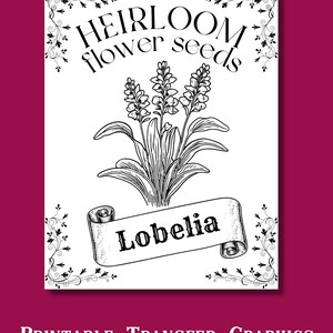 Paquete de semillas de lobelia, SVG de granja, PNG de flores, Arte de letrero rústico, Descarga digital instantánea, Decoración minimalista imprimible, Materiales para manualidades DIY