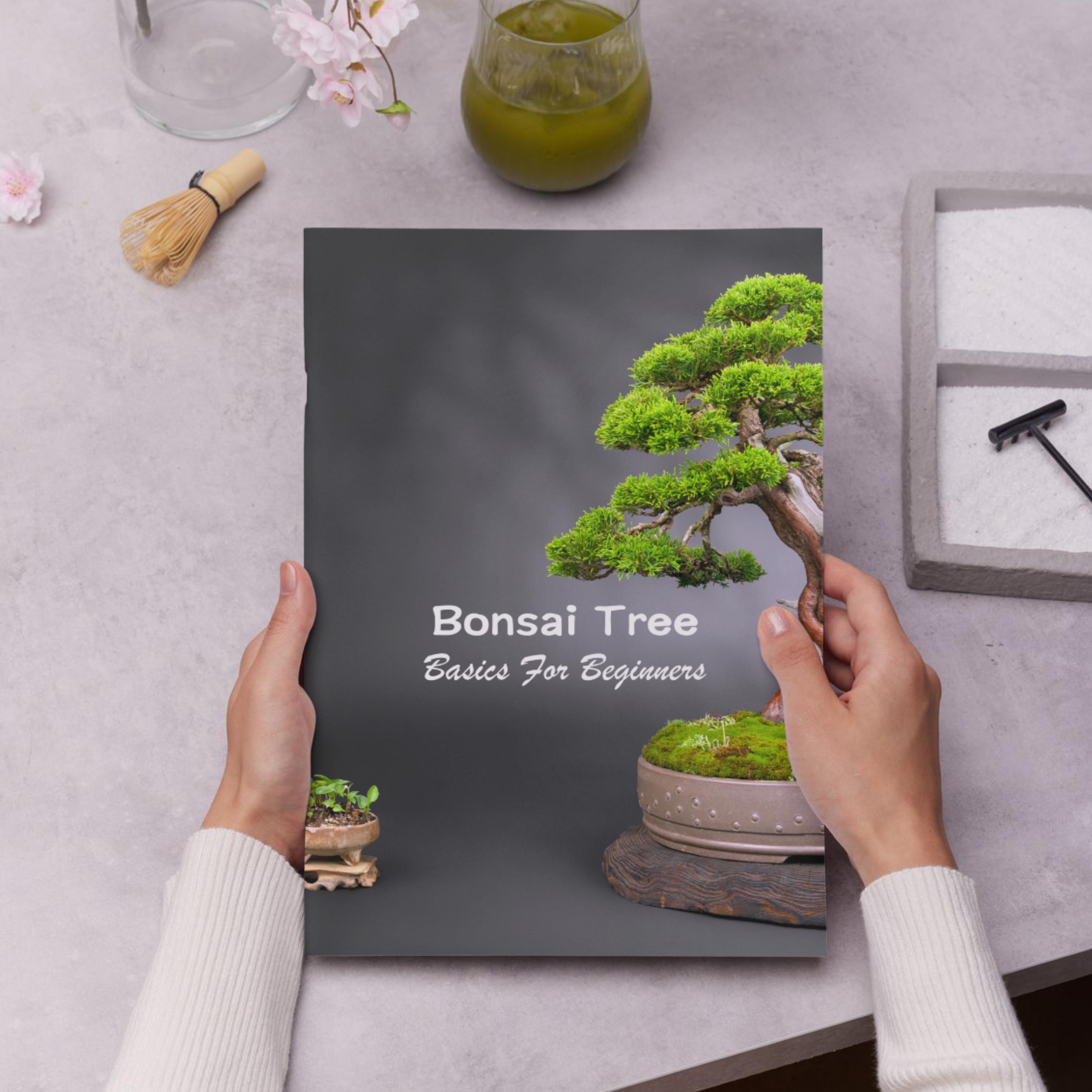 Bonsai Tree Basics: Beginner's How-to Guide (PDF Ebook Download) - Etsy  Israel