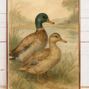 Vintage Duck Watercolor Print: Rustic Farmhouse Wall Art (Digital Download)