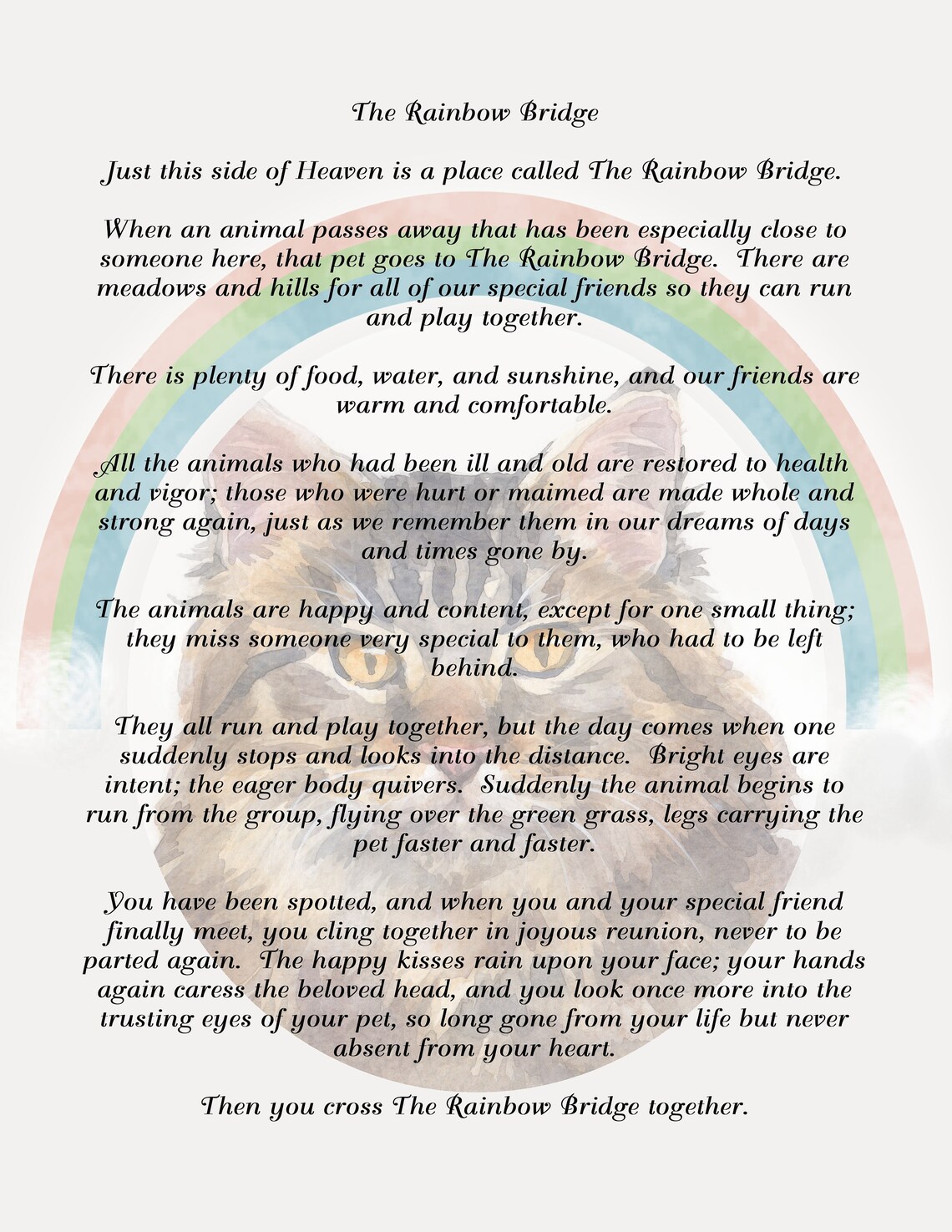 rainbow bridge poem with maine coon cat background digital etsy