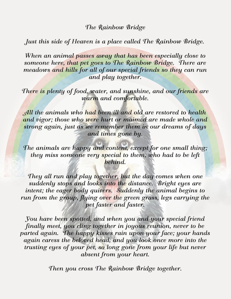 rainbow bridge poem with siberian husky dog background