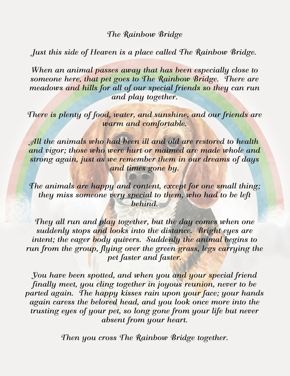 rainbow bridge poem with beagle dog background digital etsy