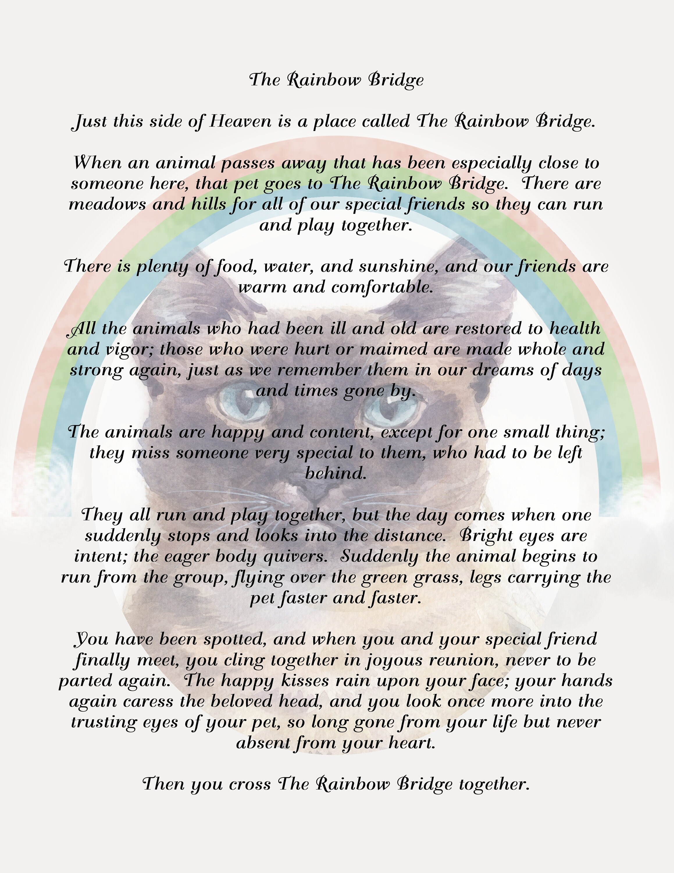 rainbow bridge poem with siamese cat background digital etsy