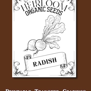 Pacote de sementes de rabanete, svg de fazenda, sementes png, arte de letreiro rústico, download digital instantâneo, decoração minimalista para impressão, artesanato faça você mesmo, materiais de artesanato
