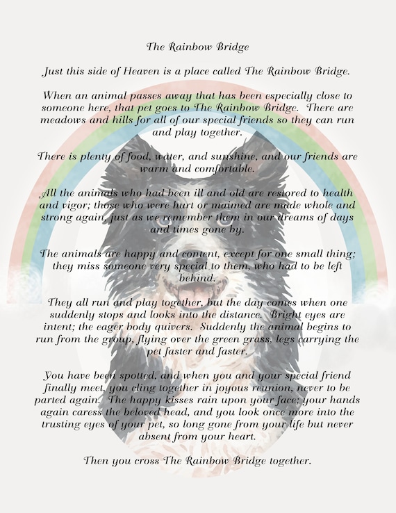 Rainbow Bridge Poem With Border Collie Dog Background Digital Etsy Australia