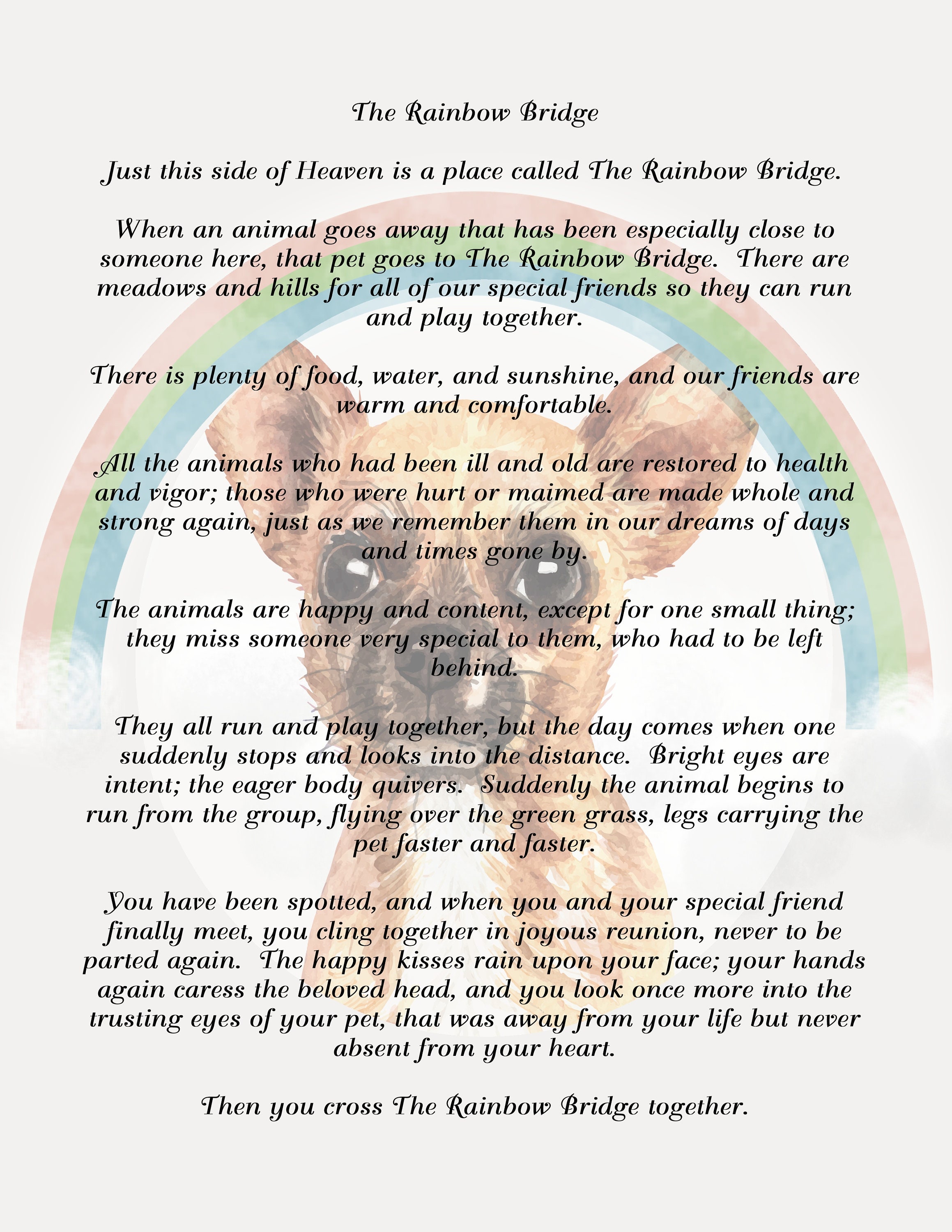 rainbow bridge poem with chihuahua dog background digital etsy australia