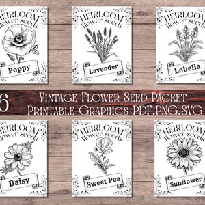 Pacote de Sementes de Flores, SVG de Fazenda, Arte de Placa Rústica, Download Digital Instantâneo, Decoração Minimalista para Imprimir, Materiais para Artesanato DIY