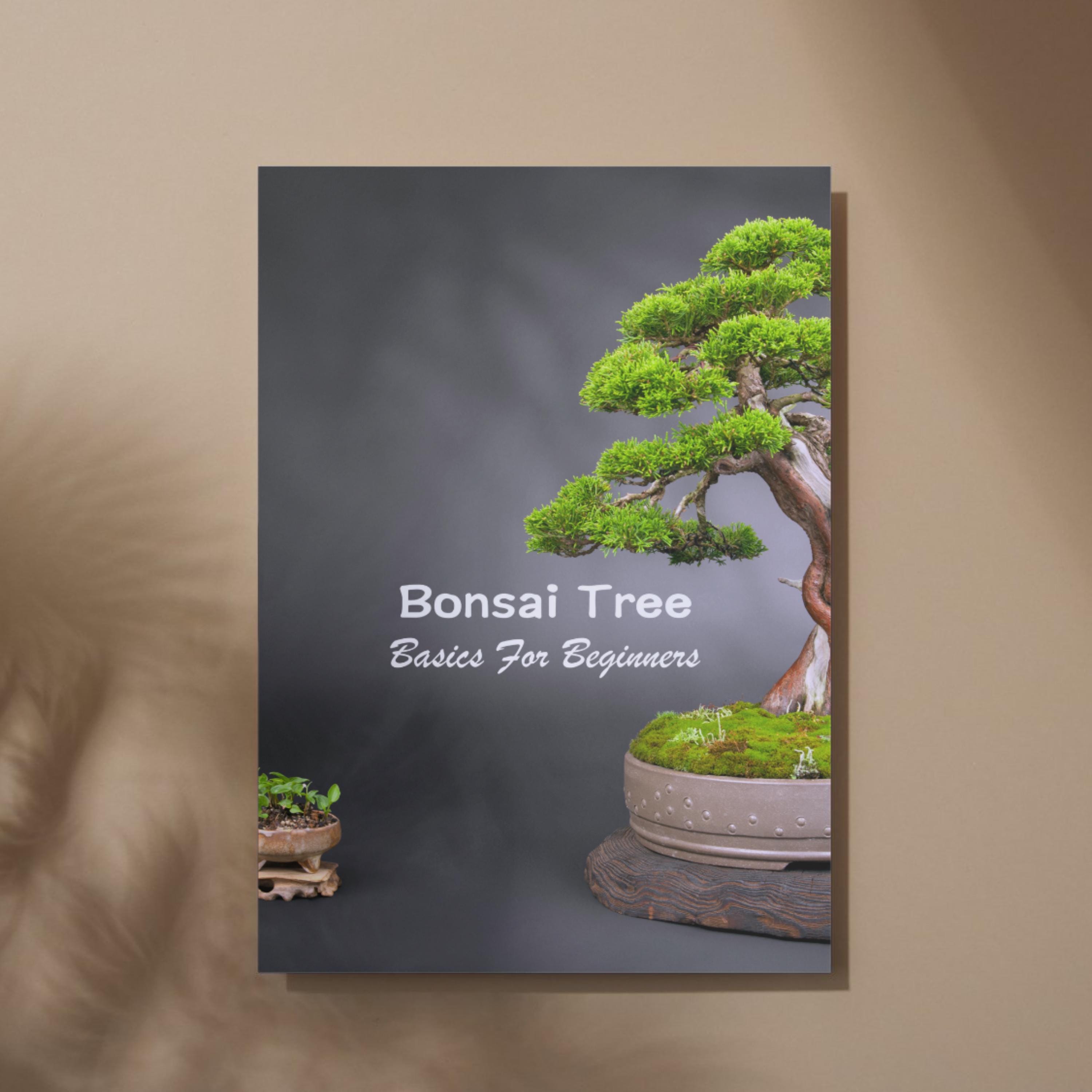 Bonsai Tree Basics: Beginner's How-to Guide (PDF Ebook Download) - Etsy