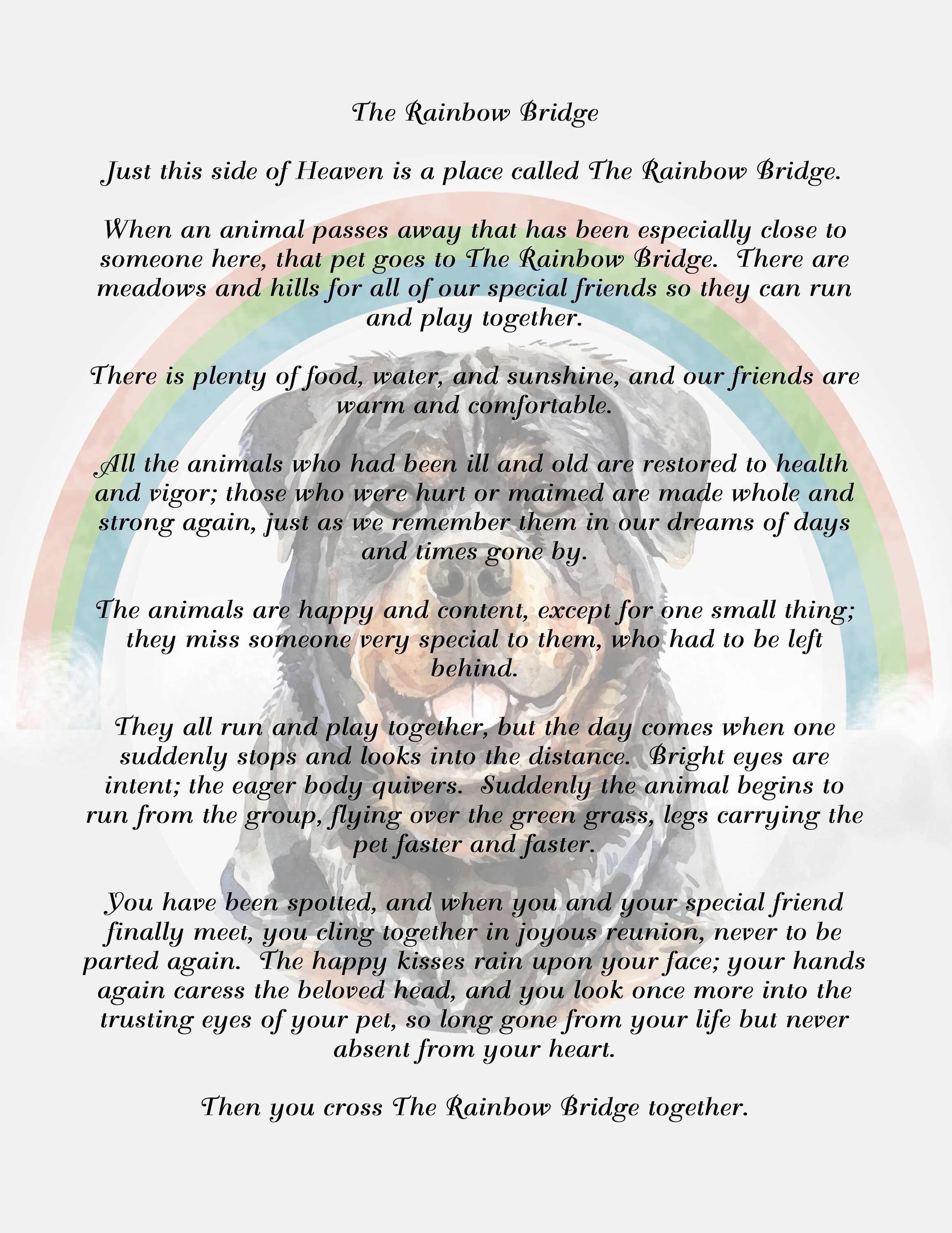Rainbow Bridge Poem With Rottweiler Dog Background Digital Etsy India