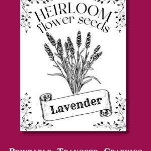 Paquete de semillas de lavanda, SVG de granja, PNG de flores, Arte de letrero rústico, Descarga digital instantánea, Decoración minimalista imprimible, Materiales para manualidades DIY