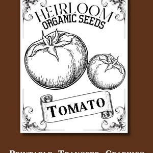 Pacote de sementes de tomate, svg de fazenda, sementes png, arte de letreiro rústico, download digital instantâneo, decoração minimalista para impressão, artesanato faça você mesmo, materiais de artesanato